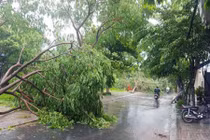 Vùng áp thấp suy yếu dịch chuyển, mưa lớn diễn biến phức tạp