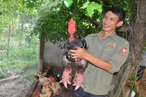 “Siêu trang trại” độc đáo đất cố đô toàn con đặc sản