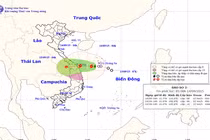 Cơn bão số 3 tấn công trực diện vào Đà Nẵng