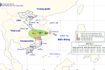 Cơn bão số 3 tấn công trực diện vào Đà Nẵng