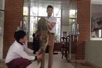 Cận cảnh cá chiên “khủng” giá chục triệu đồng ở Hà Nội