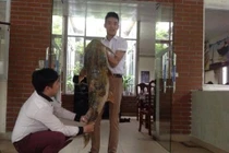 Cận cảnh cá chiên “khủng” giá chục triệu đồng ở Hà Nội