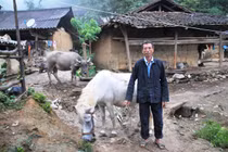 Ngôi làng kỳ lạ không bao giờ ăn thịt chó, thịt chim