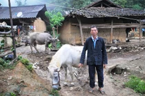 Ngôi làng kỳ lạ không bao giờ ăn thịt chó, thịt chim