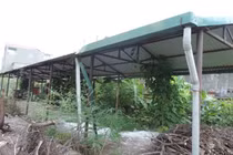 Điểm mặt những khu chợ chục tỷ xây xong... bỏ hoang