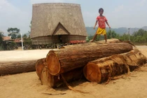 Khởi tố vụ cả làng vây bắt lâm tặc ở Gia Lai