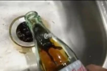 Kinh hoàng chuột chết nổi lềnh phềnh trong chai nước ngọt 