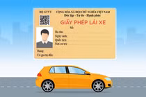 Mất bằng lái xe ôtô bạn phải làm những gì?