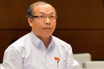 Đại biểu Quốc hội: Nhiều tỷ phú ôm 'đất vàng', 'đất kim cương' chờ thời