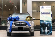Có nên "đập thùng" ôtô mới dịp đầu xuân Ất Tỵ 2025?