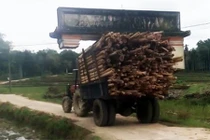 Xe công nông chở keo "khiêng" luôn cổng làng ở Quảng Nam