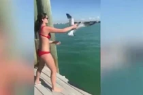 Video: Cô gái mặc bikini hành động cứu chim đáng ngưỡng mộ