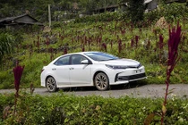 Vắng xe nhập, Toyota vẫn tăng trưởng nhờ xe lắp ráp