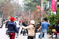 Dự báo thời tiết 9/2: Miền Bắc ấm tưng bừng trước mưa rét