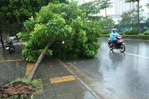 Dự báo thời tiết 27/8: Chiều và tối Hà Nội có mưa dông