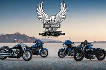Ngắm trọn 10 mẫu xe môtô Harley-Davidson 115th Anniversary