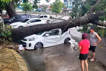 Nhìn lại loạt ôtô hỏng nặng, bẹp dúm sau siêu bão Yagi