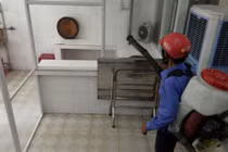 Đà Nẵng đình chỉ quán cơm gà Bà Buội gây ngộ độc thực phẩm