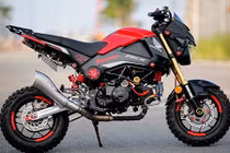 Minibike Honda MSX 125 “độ cứng” tại Đà thành