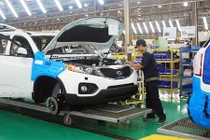 Phó TT gỡ vướng doanh nghiệp sản xuất, nhập khẩu ôtô