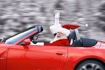 Những siêu xe tuần lộc của ông già Noel trên khắp hành tinh