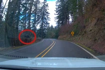 Honda CR-V mất lái lao xuống vực 60m, tài xế may mắn thoát nạn