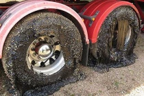 Nắng nóng tới mức tan chảy, biến dạng cả ôtô