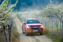 Những mẹo giúp bạn lái xe an toàn dịp Tết Kỷ Hợi 