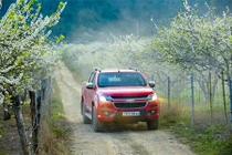 Những mẹo giúp bạn lái xe an toàn dịp Tết Kỷ Hợi 