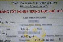 Sử dụng bằng rởm, Chủ tịch xã ở Đắk Nông bị cách chức