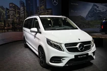 MPV hạng sang Mercedes-Benz V-Class 2019 trình làng