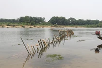 Dân đóng trận địa cọc tre giữa sông ngăn 'cát tặc'