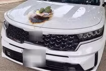 Cúng Kia mới mua sai cách, chủ xe “hóa vàng” nắp ca pô 