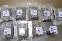 Bắt 2,3 kg ma tuý ngụy trang tinh vi từ Mỹ về Việt Nam