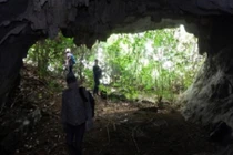 Phát hiện 23 hang động mới trên vịnh Hạ Long