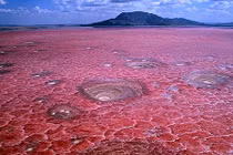 Bí ẩn hồ nước đỏ như máu, la liệt xác chết hóa đá