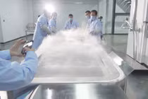 Xác người phụ nữ đông lạnh chờ hồi sinh được xử lý thế nào?