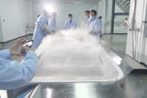 Xác người phụ nữ đông lạnh chờ hồi sinh được xử lý thế nào?