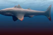 Phát hiện gây sốc về kẻ đầu tiên "thống trị" đại dương 