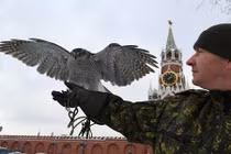 Khám phá "đội cảnh vệ bay" bảo vệ dinh thự Tổng thống Putin