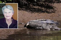 Cái kết không tưởng sau vụ cá sấu ăn thịt người ở Anh