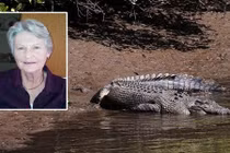 Cái kết không tưởng sau vụ cá sấu ăn thịt người ở Anh