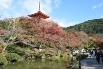 Ngắm ngôi chùa nổi tiếng nhất tại cố đô Kyoto