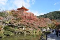 Ngắm ngôi chùa nổi tiếng nhất tại cố đô Kyoto