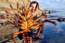 Chân dung "lão tướng” của đại dương