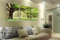 Phong thủy: Vị trí treo tranh ba cây cổ thụ