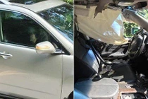 Hốt hoảng gấu tự mở cửa xe SUV vào phá banh chành