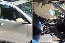 Hốt hoảng gấu tự mở cửa xe SUV vào phá banh chành