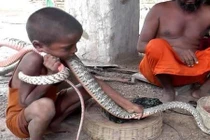 Rắn độc quấn chặt cổ đứa bé, cảnh tượng đáng sợ lúc sau...