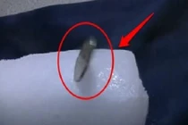 Giải mã chuyện "đồng xu có ma" run bần bật trên băng